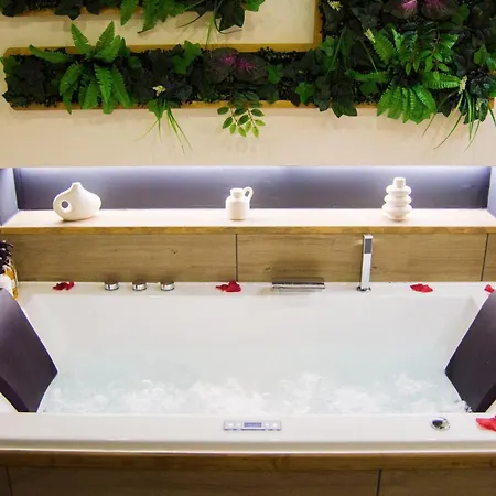 Apartman L'atelier - Spa, Luxe, Proche Hypercentre - Classe 4 Etoiles Troyes